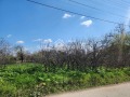 Продава  Парцел област Пловдив , с. Костиево , 1298 кв.м | 74700744