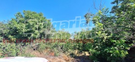 ������� ������ | Imot.bg � ����� ������ 13