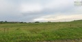 Продава ПАРЦЕЛ, гр. Монтана, Кошарник, снимка 9