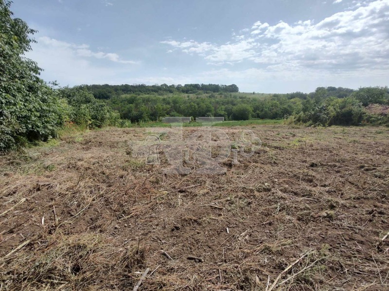 Продава ПАРЦЕЛ в област Добрич, с. Ваклино - 1090 кв.м / 12 300 € » 24 056.71 лв., РУДИ КЕЙ ДОБРИЧ