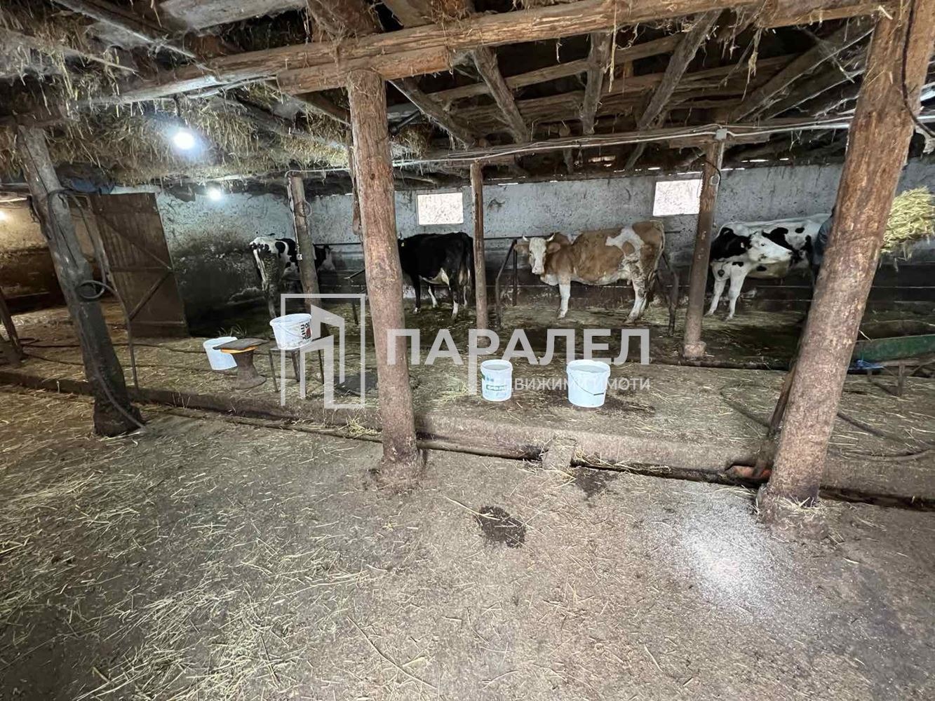 Продава ФЕРМА | Imot.bg — изображение 8