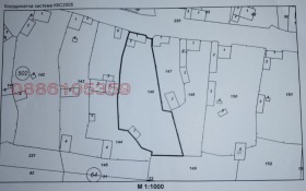 ����� ������� ����,�. �����, ������ �������