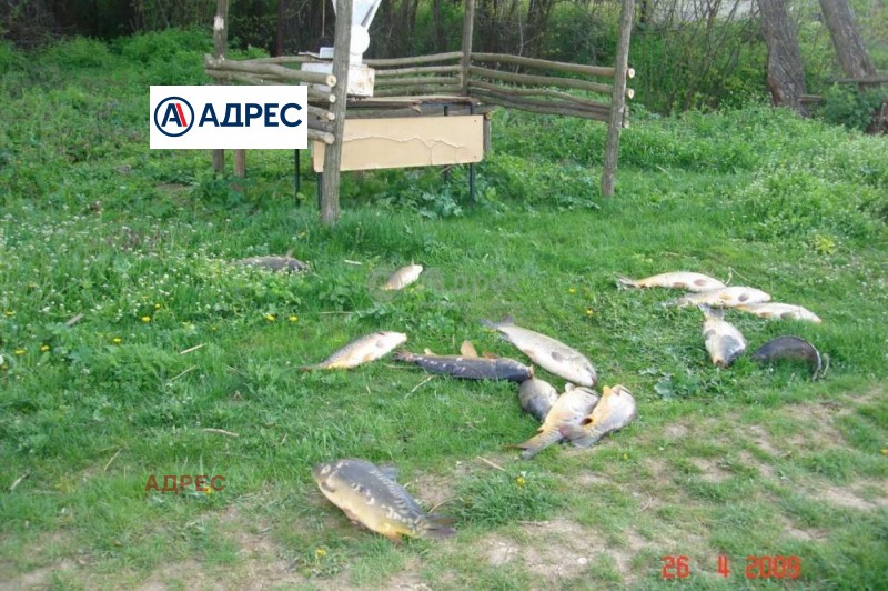 Na sprzedaż  Budynek przemysłowy region Warny , Wodica , 250 mkw | 35449565 - obraz [9]