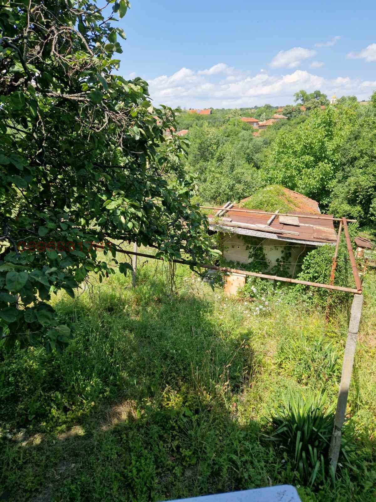 Продава КЪЩА, с. Дюлево, област Пазарджик, снимка 7 - Къщи - 54326667