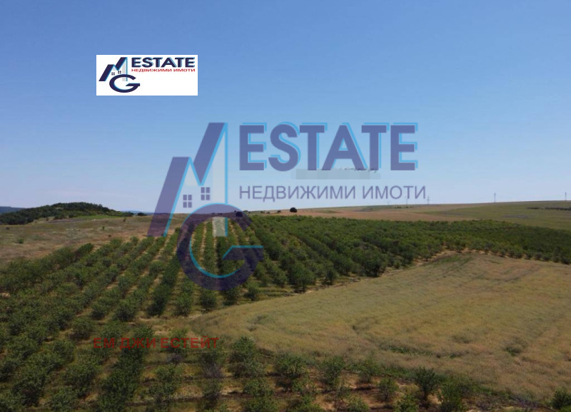 Продава ЗЕМЕДЕЛСКА ЗЕМЯ в област Бургас, с. Дрянковец - 96 дка / 147 000 € » 287 507.01 лв., ЕМ ДЖИ ЕСТЕЙТ