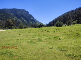 Trama Beli Iskar, región Sofia 5