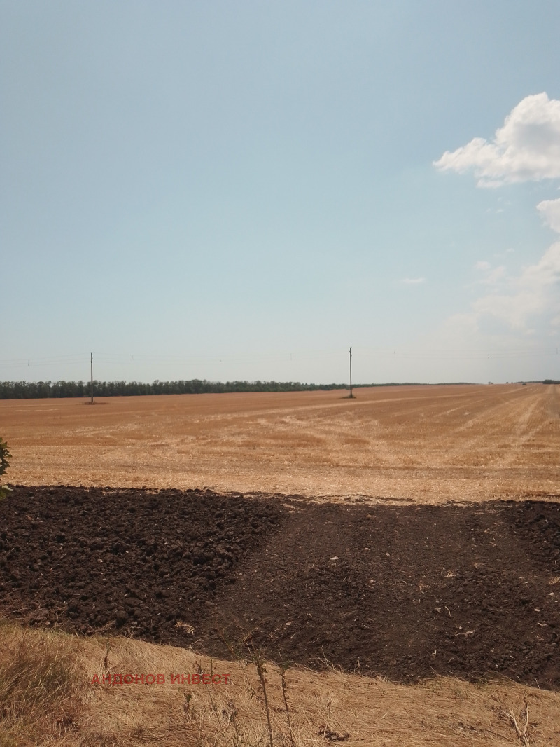 À venda  Terra região Dobrich , Sokolovo , 10 tudo bem | 79077591