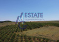 Продава  Земеделска земя област Бургас , с. Дрянковец , 96 дка | 53522252