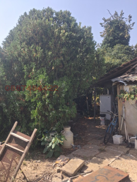 ������� ���� | Imot.bg � ����� ������ 8