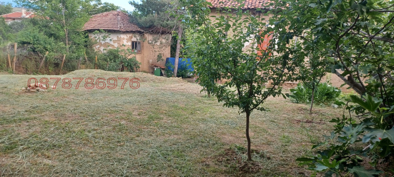 Продава КЪЩА, с. Хотово, област Благоевград, снимка 12 - Къщи - 52779565