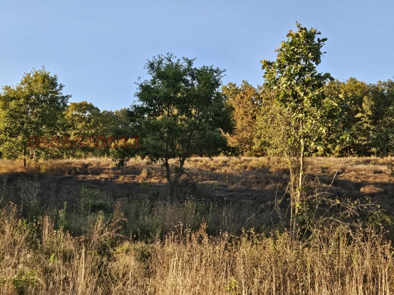 Till salu  Komplott region Varna , Dolistje , 6001 kvm | 62686723 - bild [2]
