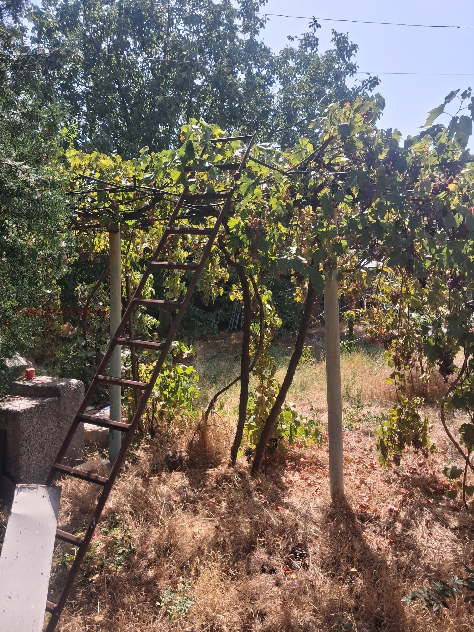 Продава КЪЩА, с. Каменец, област Плевен, снимка 16 - Къщи - 55876190