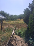Продава КЪЩА, с. Каменец, област Плевен, снимка 9