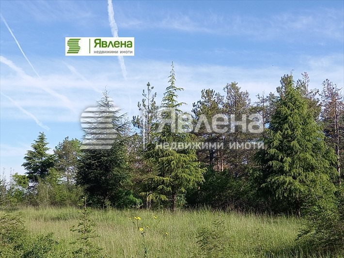 ������� ������ | Imot.bg � ����������� 3