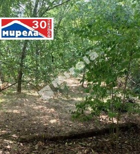 Продажба на имоти в гр. Долна Оряховица, област Велико Търново — страница 2 - изображение 12 