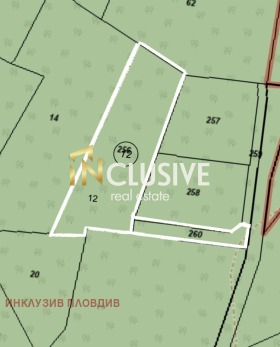 ����� ������� ������,�. �����, ������ �������>