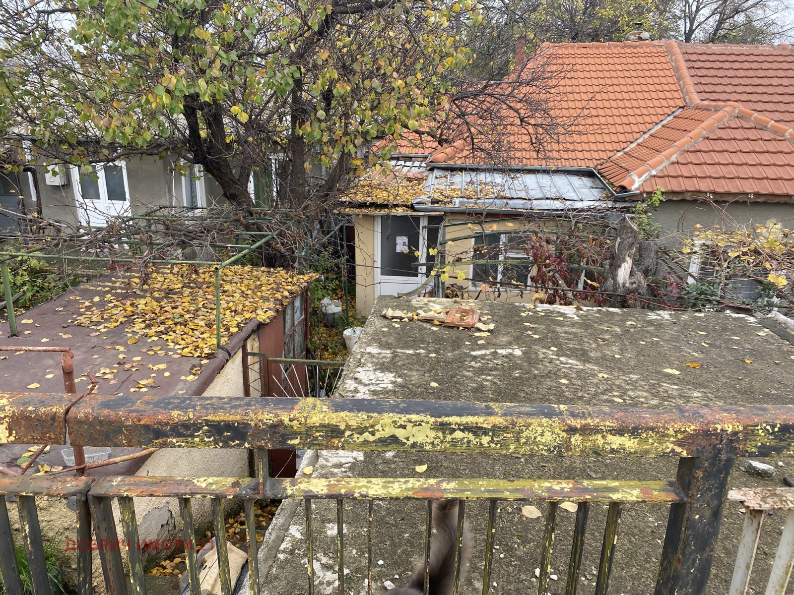 ������� ���� | Imot.bg � ����������� 10