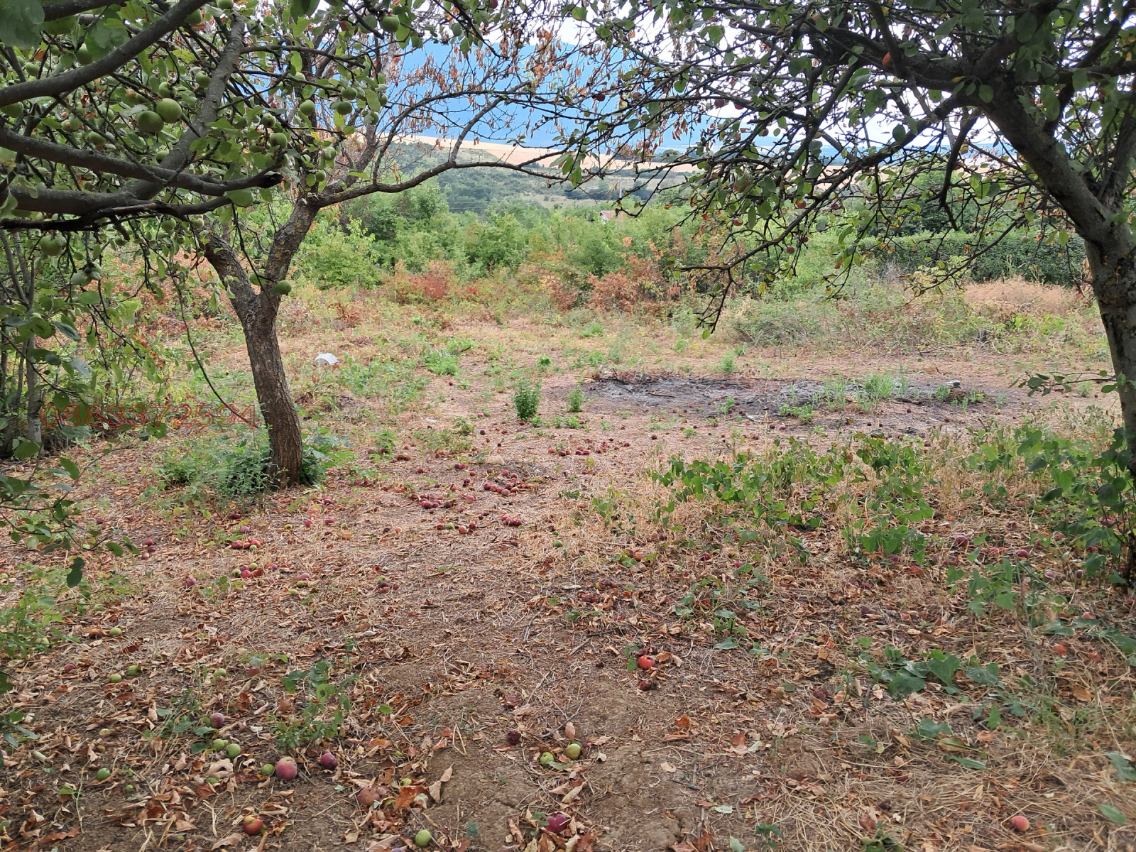 ������� ���� | Imot.bg � ����������� 4