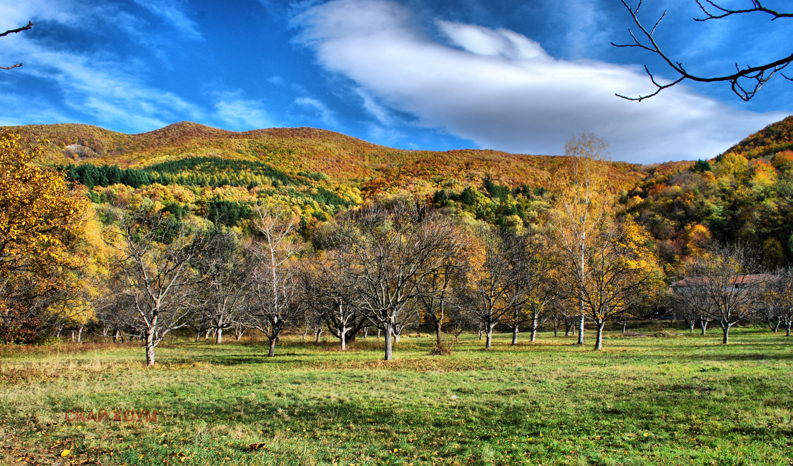 ������� ������ | Imot.bg � ����������� 2