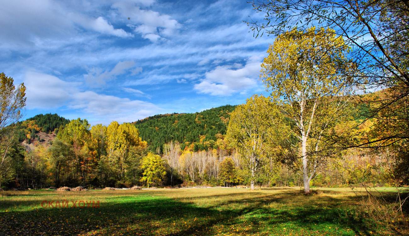 ������� ������ | Imot.bg � ����������� 6