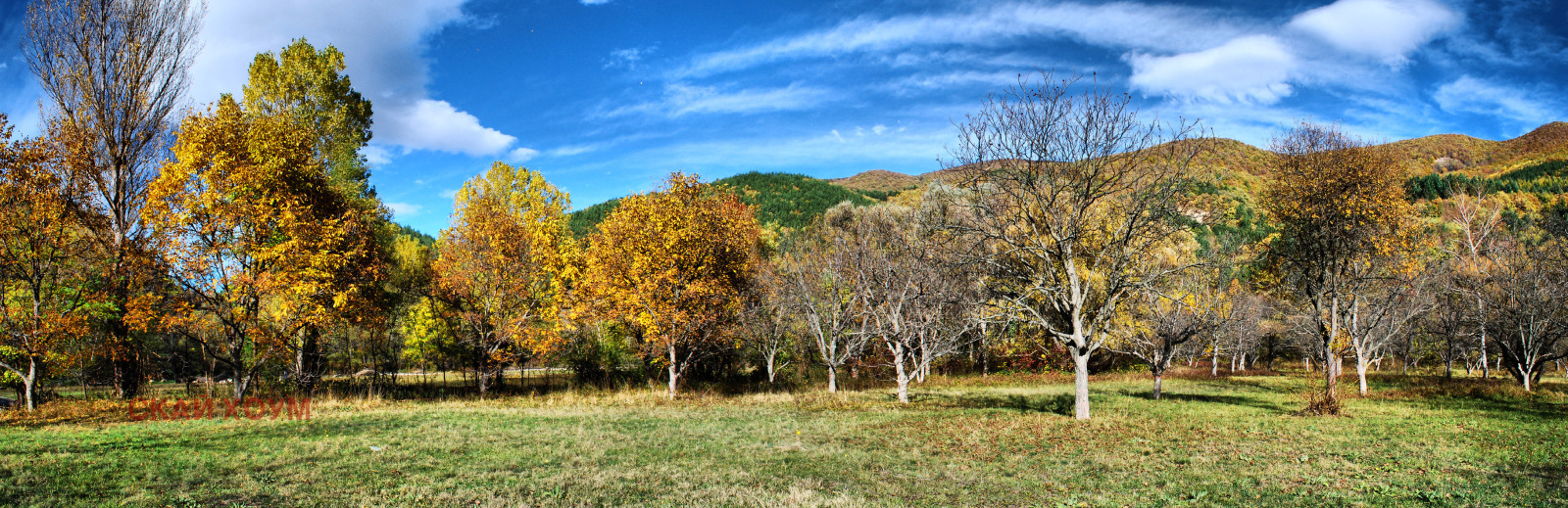 ������� ������ | Imot.bg � ����������� 8