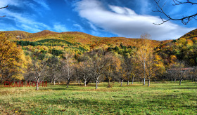 ������� ������ | Imot.bg � ����� ������ 2