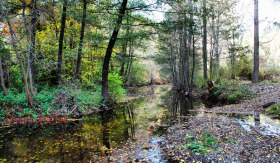 ������� ������ | Imot.bg � ����� ������ 4