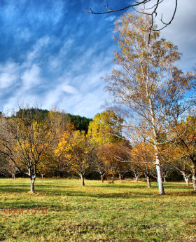 ������� ������ | Imot.bg � ����� ������ 3