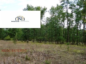 ������� ���������� ���� | Imot.bg � ����� ������ 6