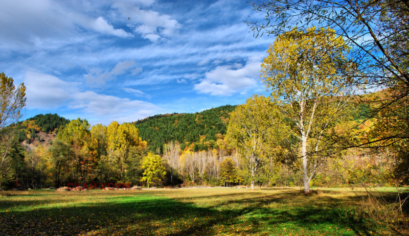 Продава ПАРЦЕЛ, гр. София, с. Кокаляне, снимка 6 - Парцели - 53502773