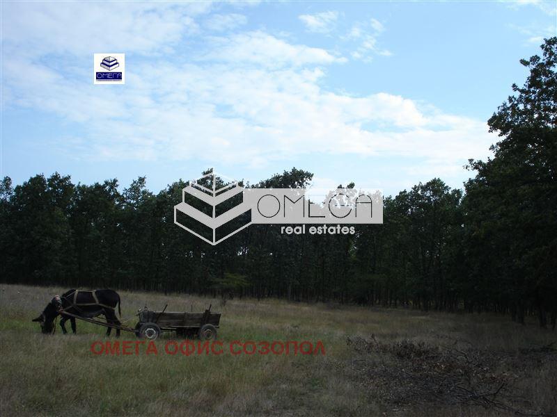 Продава  Земеделска земя област Бургас , с. Веселие , 40 дка | 77071777 - изображение [2]