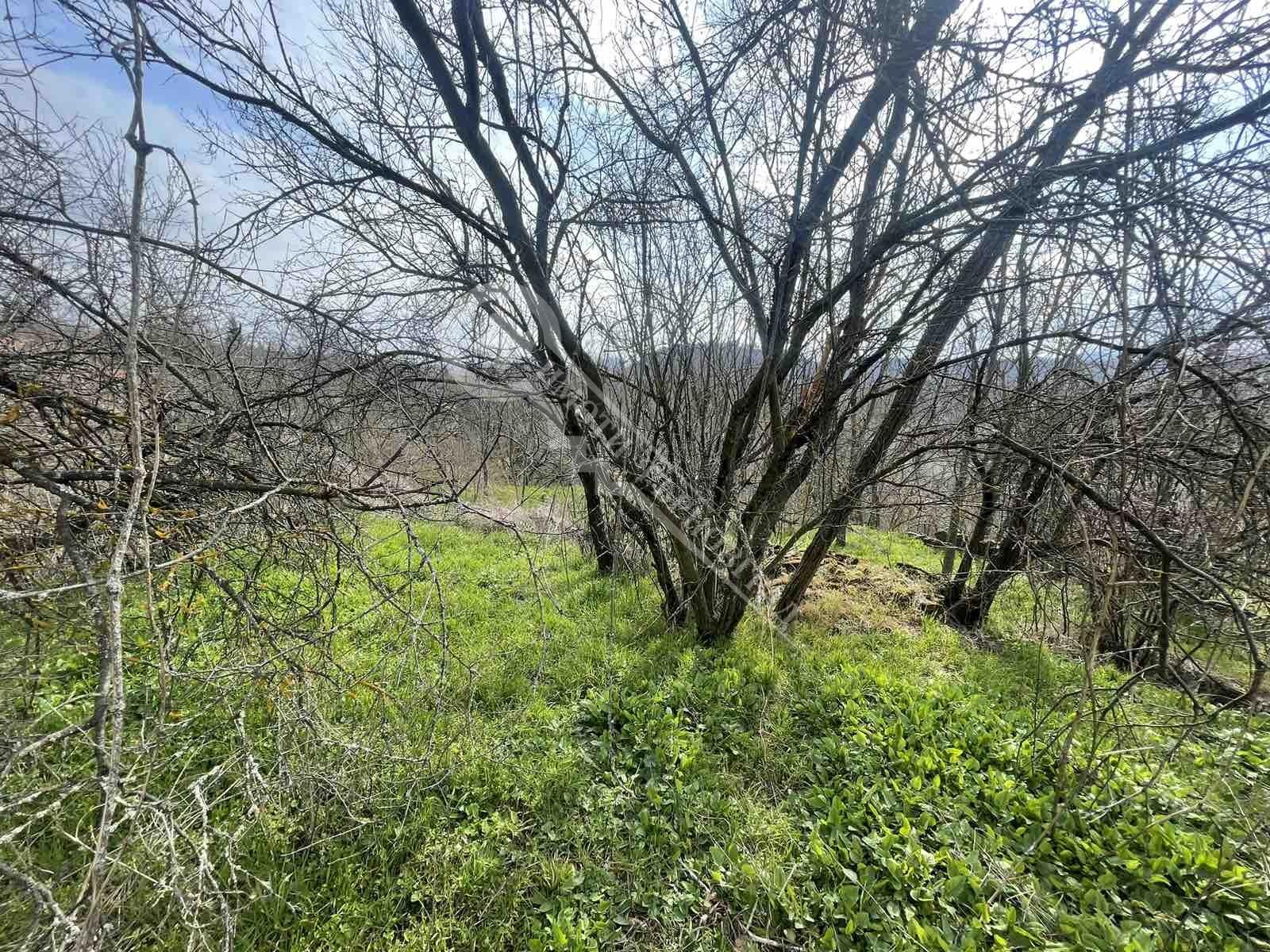 Продава КЪЩА, гр. Килифарево, област Велико Търново, снимка 7 - Къщи - 53943621