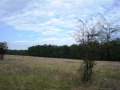 Продава ЗЕМЕДЕЛСКА ЗЕМЯ, с. Веселие, област Бургас, снимка 3