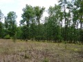 Продава ЗЕМЕДЕЛСКА ЗЕМЯ, с. Веселие, област Бургас, снимка 6