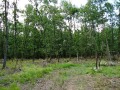 Продава  Земеделска земя област Бургас , с. Веселие , 40 дка | 18126115 - изображение [8]