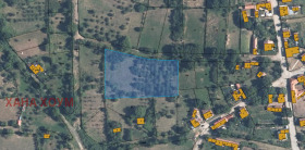 ����� ������� ������,�. ������, ������ �����