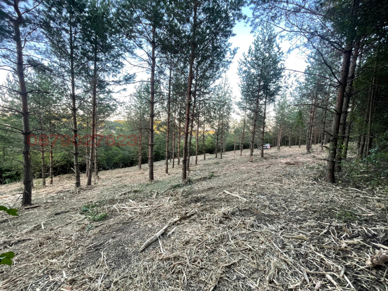 Продава ПАРЦЕЛ, град София, гр. Банкя • 180000 € • 39142121 — Holmes.bg