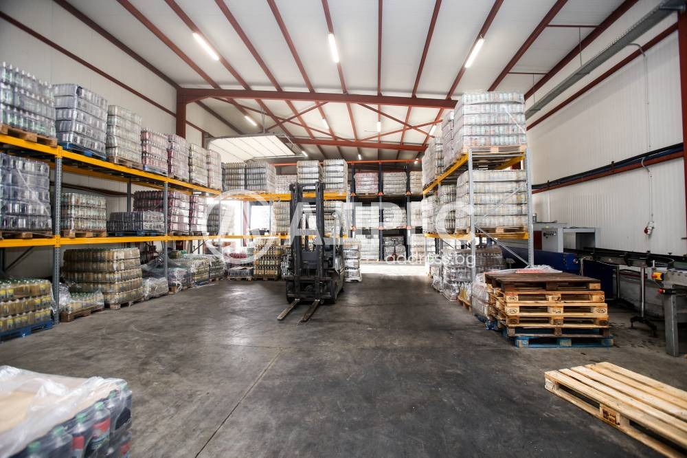 Продава СКЛАД, гр. Елин Пелин, област София област, снимка 2 - Складове - 39250083