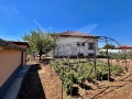 Продава КЪЩА, област Пловдив, с. Чешнегирово • 145000 € • 87094842 — Holmes.bg