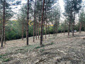 Продава ПАРЦЕЛ, град София, гр. Банкя • 180000 € • 39142121 — Holmes.bg