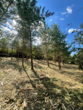 Продава ПАРЦЕЛ, град София, гр. Банкя • 180000 € • 39142121 — Holmes.bg