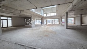 ������ ������� ����