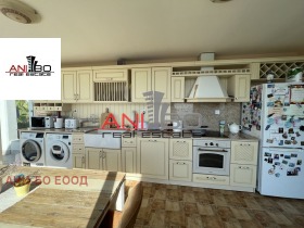 ����� ������� ����,���� �����, �-� �������