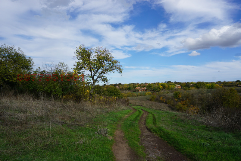 Продава КЪЩА, с. Войника, област Ямбол, снимка 14 - Къщи - 52784069