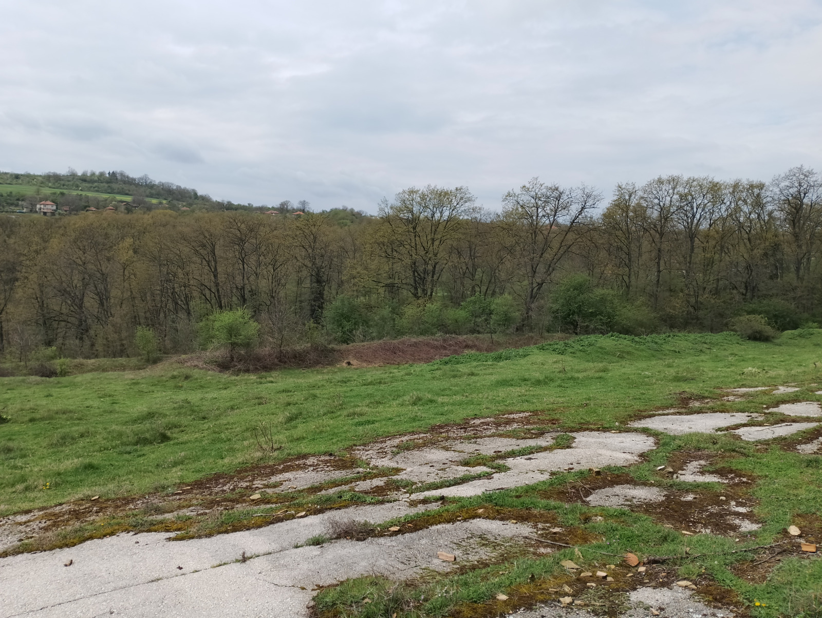 Продава ЗЕМЕДЕЛСКА ЗЕМЯ, с. Солник, област Варна, снимка 12 - Земеделска земя - 55841434