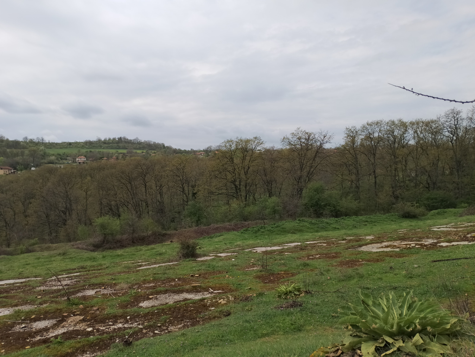 Продава ЗЕМЕДЕЛСКА ЗЕМЯ, с. Солник, област Варна, снимка 4 - Земеделска земя - 55841434