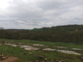 Продава ЗЕМЕДЕЛСКА ЗЕМЯ, с. Солник, област Варна, снимка 2