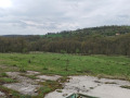 Продава ЗЕМЕДЕЛСКА ЗЕМЯ, с. Солник, област Варна, снимка 11
