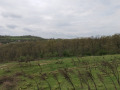Продава ЗЕМЕДЕЛСКА ЗЕМЯ, с. Солник, област Варна, снимка 3