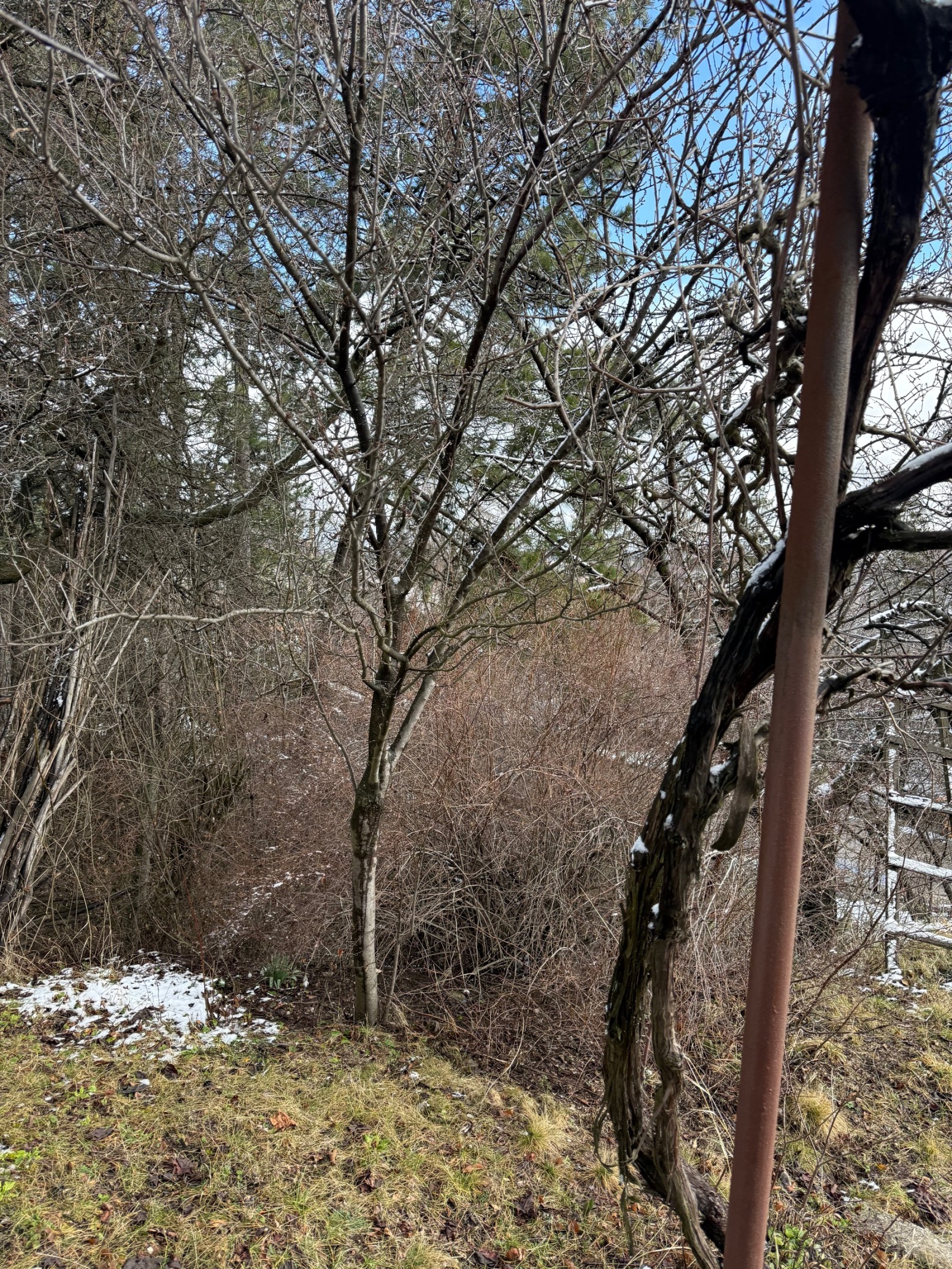 ������� ���� | Imot.bg � ����������� 7